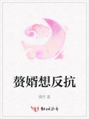 孔明孔亮实力