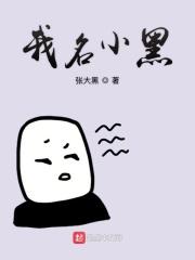 大魏女史好看吗口碑评价