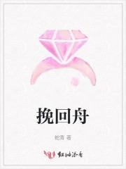 锦衣镇山河TXT