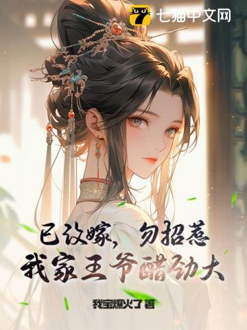 征服天国之曙光时代TXT