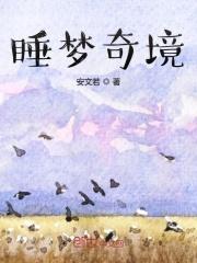 征服天国之曙光时代百度百科