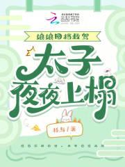星河国际航空