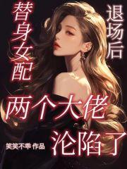 我的快意人生 丁公子