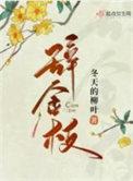 三国强何皇后