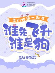 北宋小官人的幸福生活 好看吗