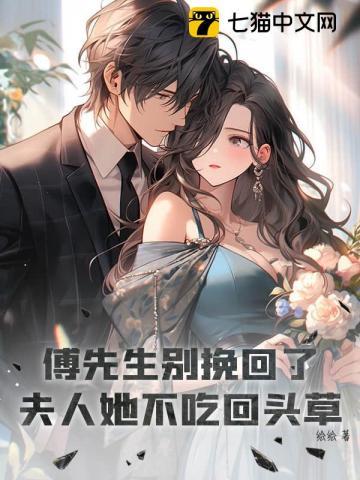 乡野妙手神医叶小