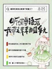 沈妤陆行舟的