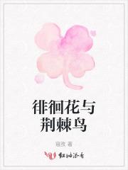铠甲之神级反派