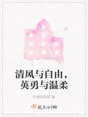 以铠甲为主的