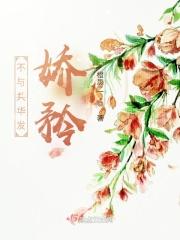 爱在两千公里外讲的什么