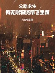 我的能力是修改文字描述无防盗
