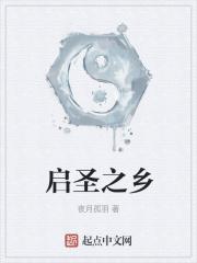 我的能力是修改文字描述 第501章