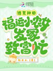 官场权力巅蜂