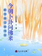 在海贼世界开店