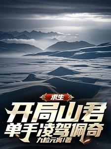 三国乱世霸王