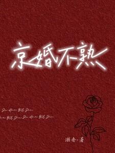 穿越神奇宝贝之真实世界