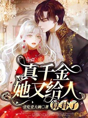 佣兵王妃