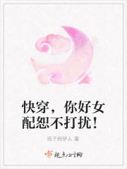 从集结号开始全集TXT