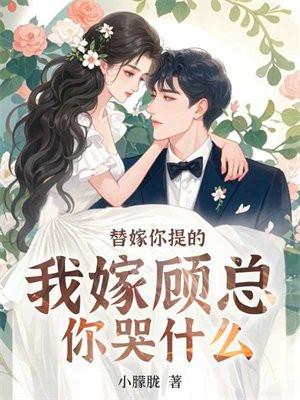 女主黎安安男主厉寒霆的