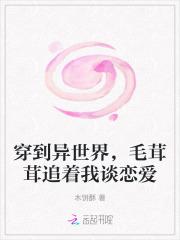 夫人跟老爷的小妾跑了 格格党