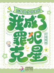 精灵我是警察不是训练家笔趣阁在线阅读
