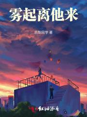 宝藏之秘在线观看