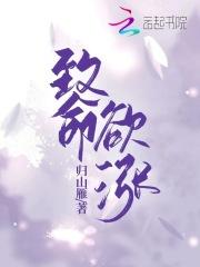我在红楼考科举番外