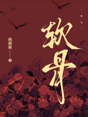 我当保镖的那些年百度