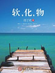 给一个青年诗人的十封信德语