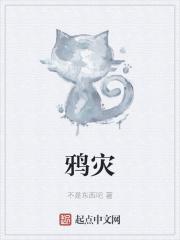 大明第一太子 最新章节 无弹窗
