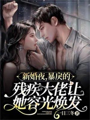 强婿归来林帆