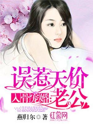 强婿归来全文免费阅读