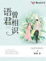 神婿什么意思
