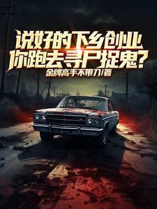 神州奇侠后传大侠传奇