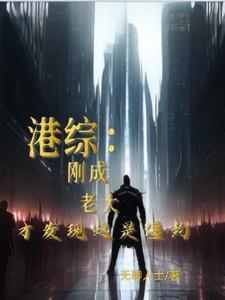 港警风云2免费播放