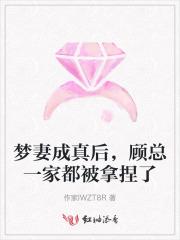 五年后唐悠悠带着龙凤胎回国