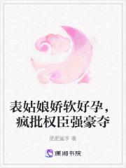 神澜奇域圣耀珠免费阅读