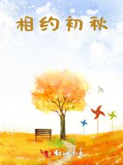 神澜奇域圣耀珠全文免费阅读