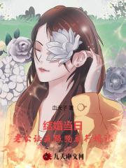 古代丫鬟升职记好看吗