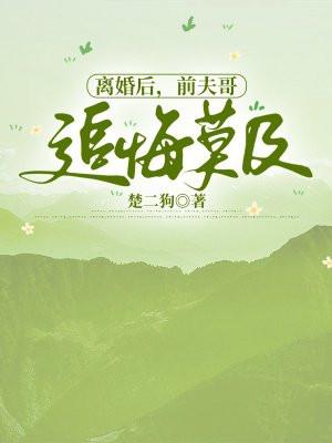 丞相保重啊是哪一集