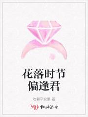 红色权力陆铮免费阅读