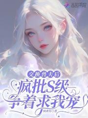 萧辰苏兰兰