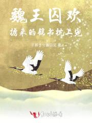 黑暗迪迦奥特曼动画片