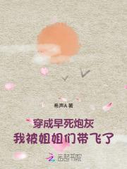 替婚总裁贺逸宁免费阅读