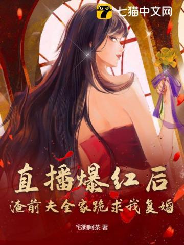 三国的曹魏是由谁建立的