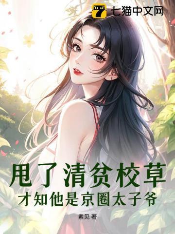 小续弦全集