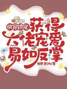 帝皇铠甲皮套官方制作图