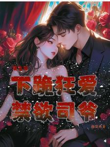 覆秦无防盗