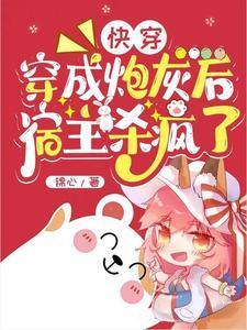 女主叫沈书意