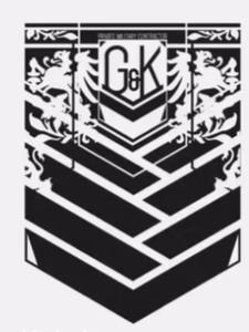 逃婚后背总裁收留了gl